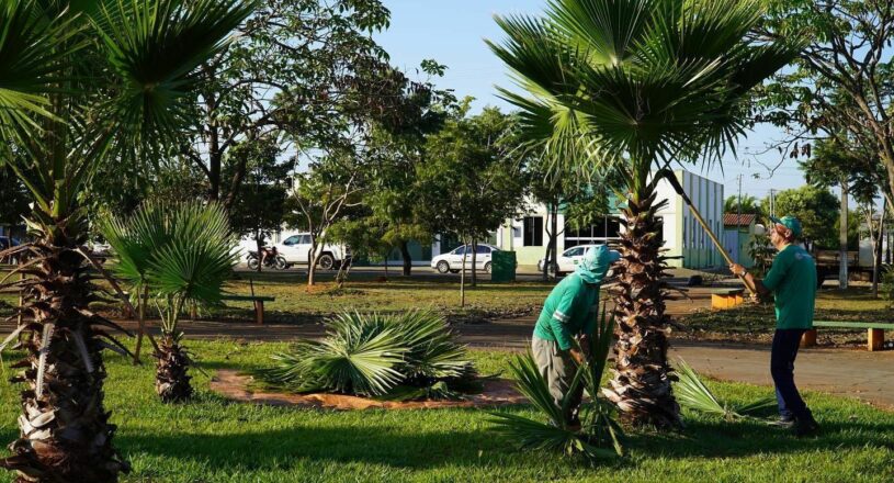Prefeitura de Goianésia faz mutirão de limpeza e melhorias no Bairro Covoá