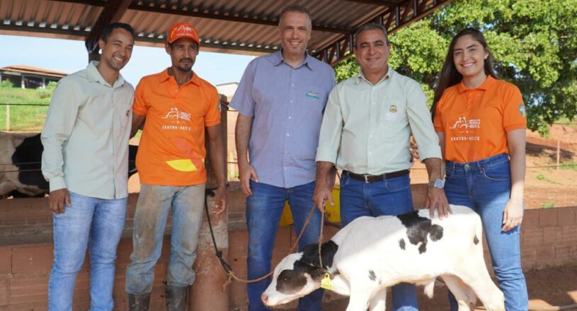 Programa Mais Pecuária Brasil celebra nascimento dos primeiros bezerros.